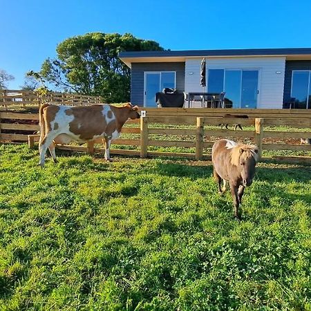 Country Comfort - Only 10 Minutes From Hamilton Cbd Экстерьер фото