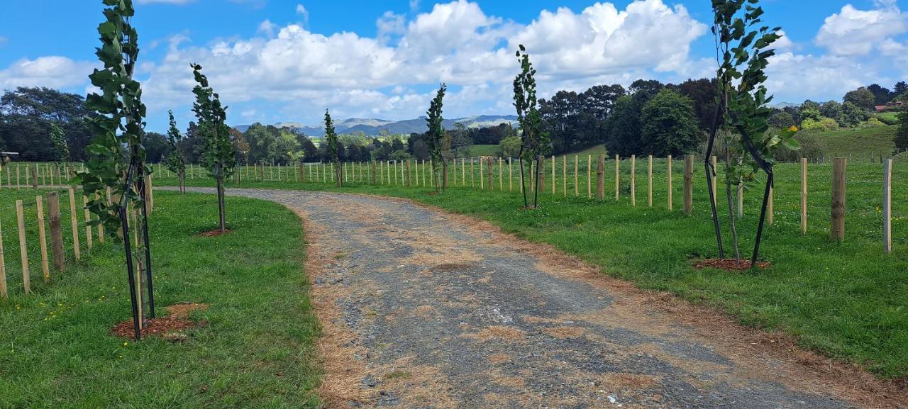 Country Comfort - Only 10 Minutes From Hamilton Cbd Экстерьер фото