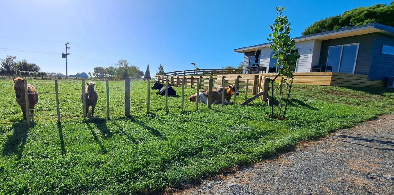 Country Comfort - Only 10 Minutes From Hamilton Cbd Экстерьер фото