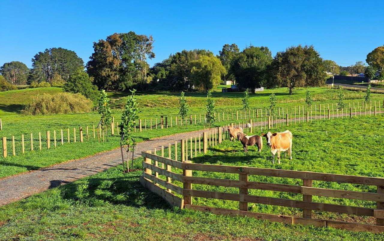 Country Comfort - Only 10 Minutes From Hamilton Cbd Экстерьер фото
