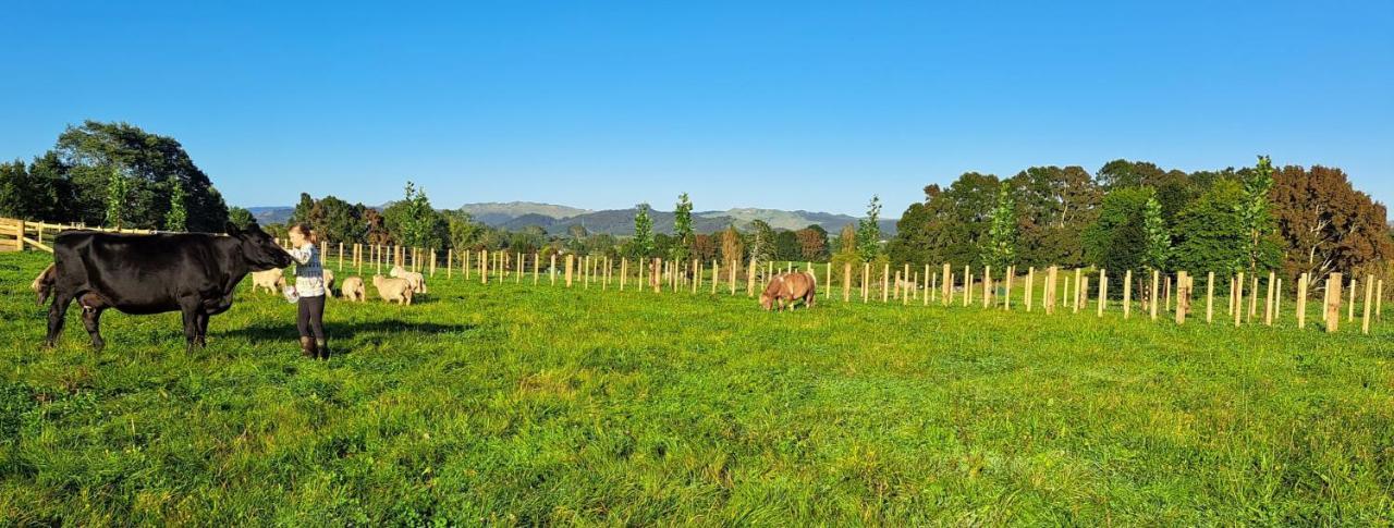 Country Comfort - Only 10 Minutes From Hamilton Cbd Экстерьер фото